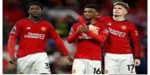 乐鱼体育真人娱乐全攻略